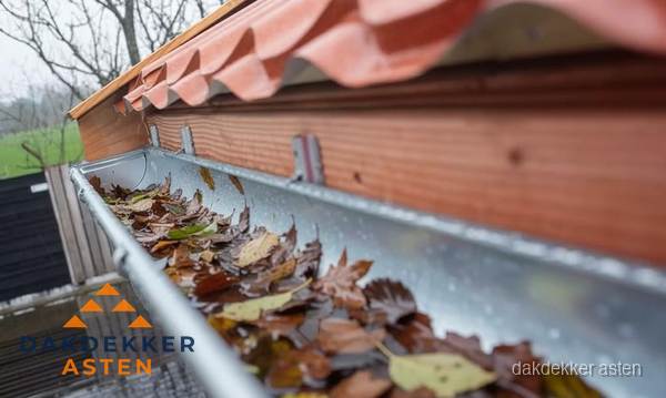 Dakgoot vol bladeren die gereinigd moet worden in Asten Dakgoot vol bladeren die gereinigd moet worden in Asten